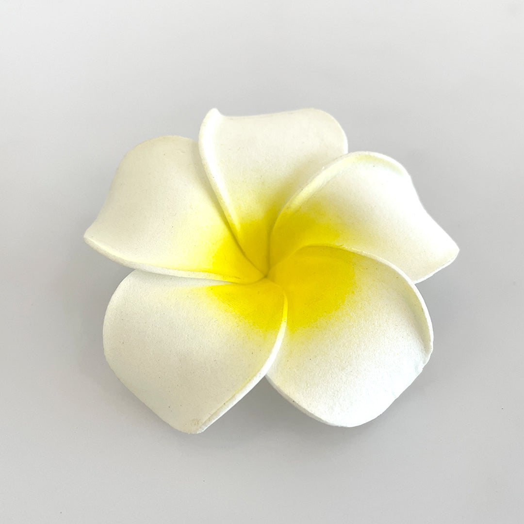 Starter Kit for Uruli & Fountain - Aaramba Alankaaram